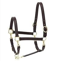 Algopix Similar Product 12 - Ovation Elite 4Way Grooming Halter