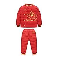 Algopix Similar Product 15 - DAZISEN Baby Snowsuit  2 Piece Ski