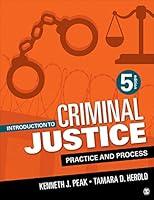 Algopix Similar Product 18 - Introduction to Criminal Justice