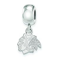 Algopix Similar Product 20 - Chicago Blackhawks Bead Charm Extra