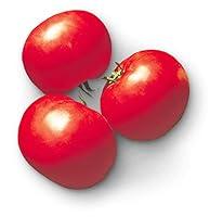 Algopix Similar Product 12 - Tomato Supersonic F1  Vegetable Seeds