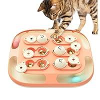 Algopix Similar Product 16 - Cat Track Balls Indoor for Cats Puzzle