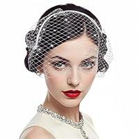 Algopix Similar Product 3 - GEEHUA Halloween White Veil Headband