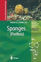 Algopix Similar Product 15 - Sponges Porifera Progress in