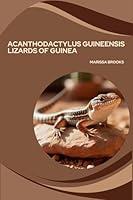 Algopix Similar Product 12 - Acanthodactylus guineensis Lizards of