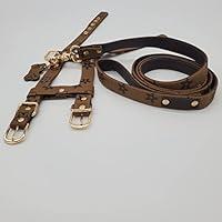 Algopix Similar Product 14 - Luxury Dog Harness and Leash Set for S