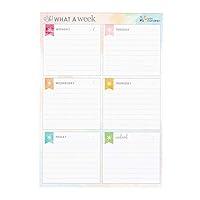 Algopix Similar Product 10 - Erin Condren Designer Notepad  Oh