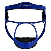 Algopix Similar Product 18 - CHAMPRO Rampage Ultralight Softball