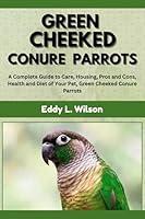 Algopix Similar Product 17 - GREEN CHEEKED CONURE PARROTS A