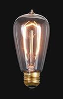 Algopix Similar Product 20 - BP Lamp Edison Base Light Bulb with