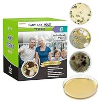 Algopix Similar Product 18 - Mold Test Kit for Home Within 6