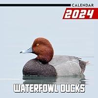 Algopix Similar Product 11 - Waterfowl Ducks 2024 Calendar 12 Month