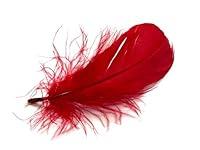 Algopix Similar Product 15 - 1 Pack  23 Red Goose Coquille Loose