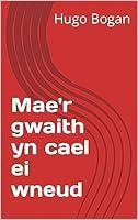 Algopix Similar Product 20 - Maer gwaith yn cael ei wneud Welsh