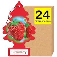 Algopix Similar Product 20 - LITTLE TREES Air Fresheners Car Air