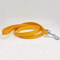Algopix Similar Product 2 - Citrus dog Leash Pet accessory Yellow