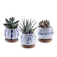 Algopix Similar Product 8 - T4U 25 Inch Ceramic Succulent Planter