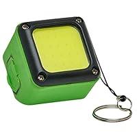 Algopix Similar Product 8 - Kodiak Kube 300 Lumen Rechargeable