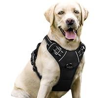 Algopix Similar Product 7 - rabbitgoo Dog Harness No Pull with 2