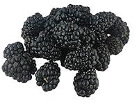 Algopix Similar Product 1 - DRISCOLL Blackberries, 6 OZ