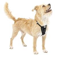 Algopix Similar Product 1 - Kurgo TruFit Enhanced Strength Dog