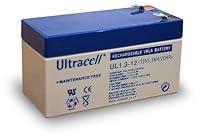 Algopix Similar Product 19 - Wentronic Ultracell Lead Acid Battery