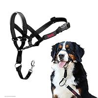 Algopix Similar Product 3 - HALTI Headcollar  To Stop Your Dog