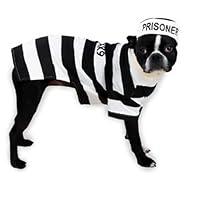 Algopix Similar Product 8 - Casual Canine Prison Pooch Costume