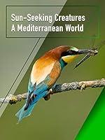 Algopix Similar Product 1 - SunSeeking Creatures  A Mediterranean