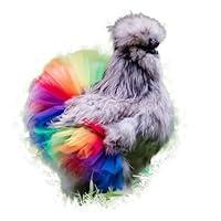 Algopix Similar Product 4 - Rainbow Chicken Tutu