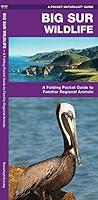 Algopix Similar Product 5 - Big Sur Wildlife A Folding Pocket