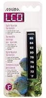 Algopix Similar Product 10 - Marina Nova Fahrenheit only 72 to