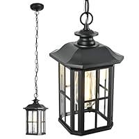 Algopix Similar Product 10 - odorpower Outdoor Pendant Lights for