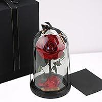 Algopix Similar Product 3 - Rose in Glass Dome with Metal Engraved