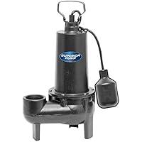 Algopix Similar Product 13 - Superior Pump 93501 12Horsepower Cast