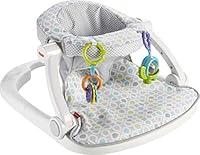 Algopix Similar Product 5 - FisherPrice Portable Baby Chair