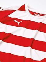 Algopix Similar Product 2 - PUMA Unisex Liga Stripe Jersey Youth