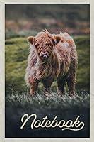 Algopix Similar Product 11 - Notebook Aberdeen Angus Cattle