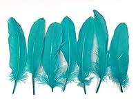 Algopix Similar Product 4 - Moonlight Feather  1 Pack  Peacock