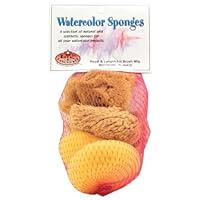 Algopix Similar Product 11 - Royal Brush Watercolor Sponges 6/Pkg