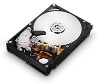 Algopix Similar Product 2 - HGST Ultrastar 35Inch 4TB 7200RPM