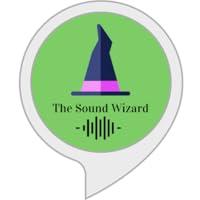 Algopix Similar Product 4 - The Sound Wizard