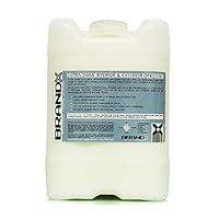 Algopix Similar Product 14 - BrandX X10405 XTRA Shine Interior and