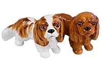 Algopix Similar Product 14 - Pit Bull Terrier Mini Fawn and Black