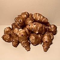 Algopix Similar Product 19 - Sunchokes Adama Foods  2 12 pounds