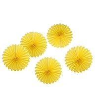 Algopix Similar Product 2 - Tissue Paper Fan Decoration Hanging
