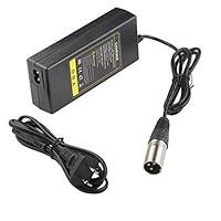 Algopix Similar Product 1 - 44V 15A Scooter Battery Charger for