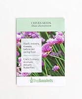 Algopix Similar Product 6 - Shop Succulents Chives Seeds Pack of