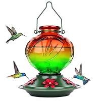 Algopix Similar Product 3 - BOLITE Hummingbird Feeder Glass