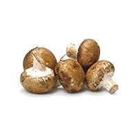 Algopix Similar Product 20 - Mushroom Baby Bella Brown Organic